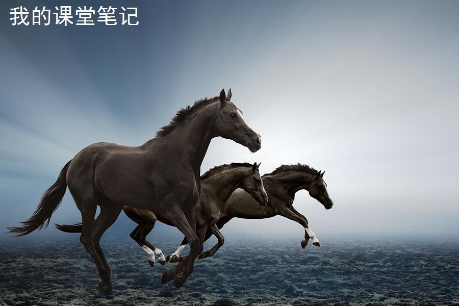 马15.jpg