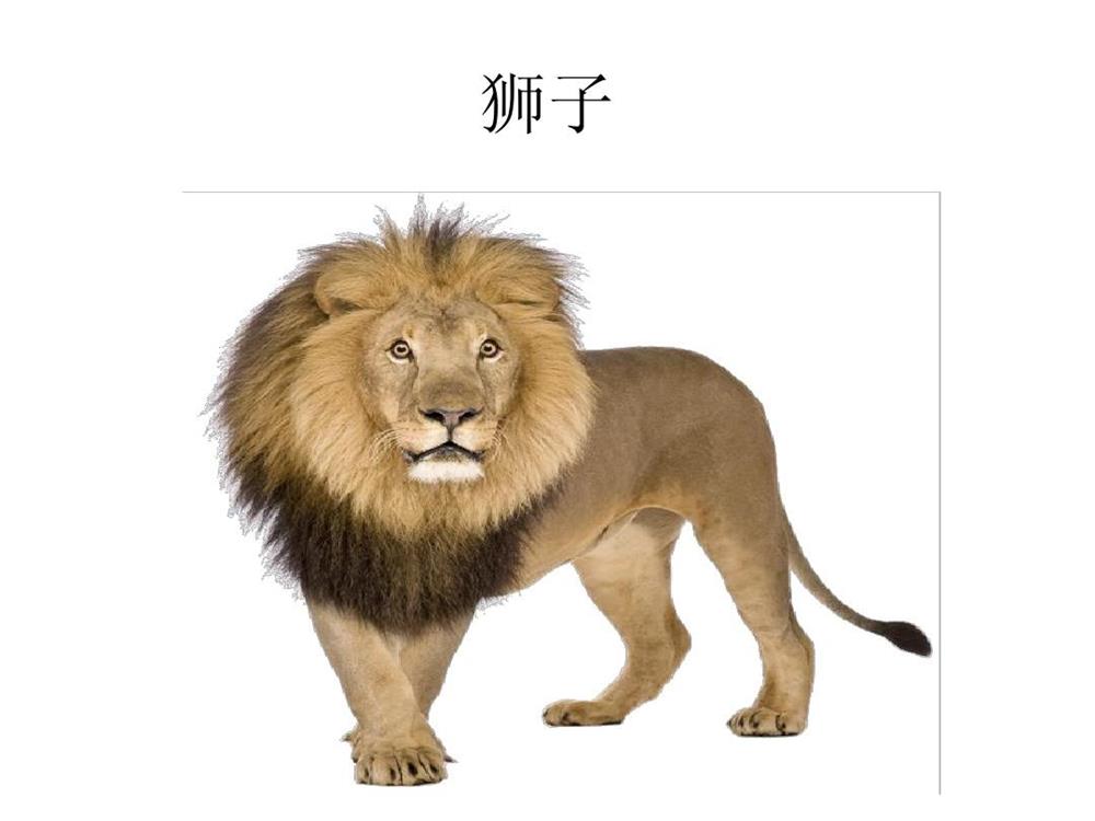 认字图片9.jpg
