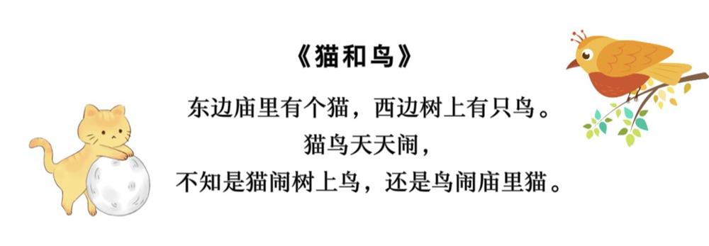 猫和鸟.jpg