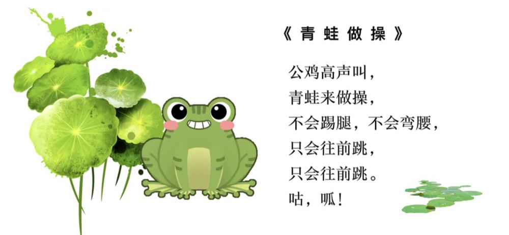 青蛙做操.jpg