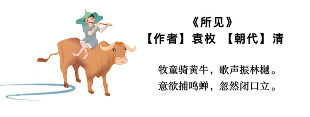 所见.jpg