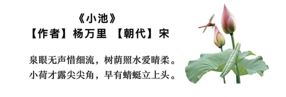 小池.jpg